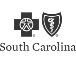 Blue Cross Blue Shield South Carolina Logo